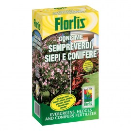 Flortis - SEMPREVERDI SIEPI E CONIFERE_GREENTOWN